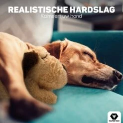 Vulpes Pets® Knuffel Hond Met Hartslag – Puppyknuffel - Hondenknuffel Voor Puppy - Snuggle Puppy - Knuffel Met Hartslag En Gratis Warmte Pad Speciaal Voor Puppy's -Huisdierbenodigdheden 1200x1200 2321
