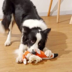 BoDutch Honden Knuffel - Vos - Puppyknuffel - Knisperoortjes - Met Piep - Oranje - 36 Cm - Hondenspeelgoed -Huisdierbenodigdheden 1200x1200 2323