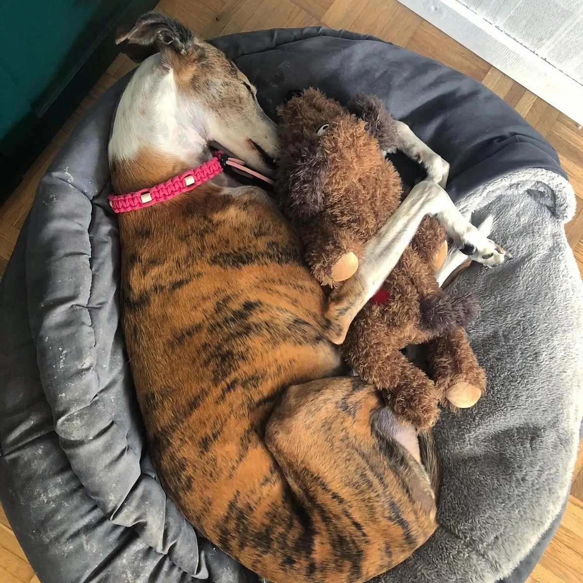 Merkloos Hondenknuffel - Puppyknuffel Met Hartslag - Knuffel Met Hartslag - Antistress Hond - Hondenspeelgoed 6 Merkloos Hondenknuffel - Puppyknuffel Met Hartslag - Knuffel Met Hartslag - Antistress Hond - Hondenspeelgoed - Afbeelding 6