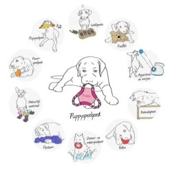 Kong Puppy Goodie Bone Small Small - 1 ST 16 Kong Puppy Goodie Bone Small Small - 1 ST -Huisdierbenodigdheden 1200x1200 2341