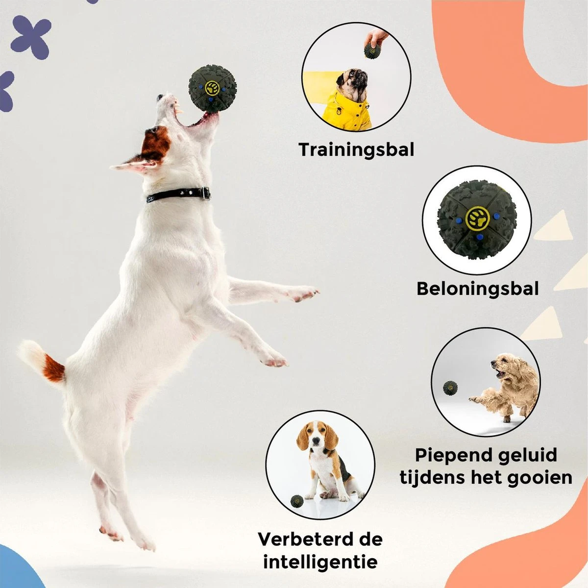 Luxury Diversity - Honden Speelgoed - 12 Honden Speeltjes - Puppy Speelgoed - Honden - Honden Speelgoed Intelligentie 2 Luxury Diversity - Honden Speelgoed - 12 Honden Speeltjes - Puppy Speelgoed - Honden - Honden Speelgoed Intelligentie - Afbeelding 2