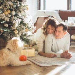 Good Experience Interactieve Hondenbal 3.0 – Honden Speelgoed Intelligentie – Puppy Speelgoed – Hondenspeeltjes – De Enige Die Werkt Met Afstandsbediening – De Veilige Bal Voor Jouw Hond – One Size – Oranje 11 Good Experience Interactieve Hondenbal 3.0 – Honden Speelgoed Intelligentie – Puppy Speelgoed – Hondenspeeltjes – De Enige Die Werkt Met Afstandsbediening – De Veilige Bal Voor Jouw Hond – One Size – Oranje -Huisdierbenodigdheden 1200x1200 2349