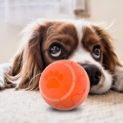 Good Experience Interactieve Hondenbal 3.0 – Honden Speelgoed Intelligentie – Puppy Speelgoed – Hondenspeeltjes – De Enige Die Werkt Met Afstandsbediening – De Veilige Bal Voor Jouw Hond – One Size – Oranje 17 Good Experience Interactieve Hondenbal 3.0 – Honden Speelgoed Intelligentie – Puppy Speelgoed – Hondenspeeltjes – De Enige Die Werkt Met Afstandsbediening – De Veilige Bal Voor Jouw Hond – One Size – Oranje -Huisdierbenodigdheden 1200x1200 2351