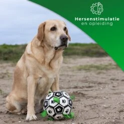 Honden Speelgoed Bal Voetbal Extra Sterk Met Handvaten Ball Hondenbal - 15 Cm - Dutchwide -Huisdierbenodigdheden 1200x1200 2362