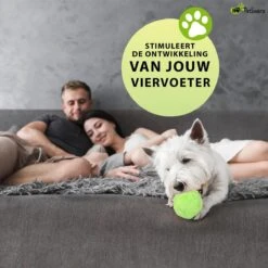 Petloverz Magic Roller Ball – Honden Speelgoed – Premium Automatische Rollende Bal -Huisdierbenodigdheden 1200x1200 2369