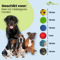 Petloverz Ballen Set - Honden Speelgoed - Intelligentie - Ballen - 6 Stuks -Huisdierbenodigdheden 1200x1200 2379