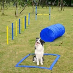 Agility Voor De Hond - 16 Delig - Agility Set - Hondentunnel - Horde - Slalom Palen - Honden Training Set - Honden Behendigheidsset - Agility Toestellen -Huisdierbenodigdheden 1200x1200 2396