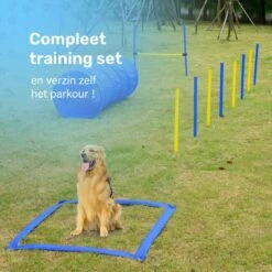 Agility Voor De Hond - 16 Delig - Agility Set - Hondentunnel - Horde - Slalom Palen - Honden Training Set - Honden Behendigheidsset - Agility Toestellen -Huisdierbenodigdheden 1200x1200 2398