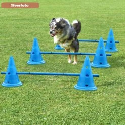 Agility Voor De Hond - Honden Training - Dog Activity - Behendigheid Hond - Parcours -Huisdierbenodigdheden 1200x1200 2401