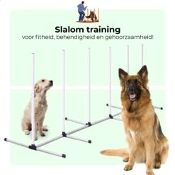 AYOO Agility Voor De Hond - Honden Training - Honden Behendigheid Set - Hondenparcours - Training Huisdieren - Honden Agility Set - Slalom - Horde - Draagzak - Agility Set - Oranje - Wit - GRATIS Speeltouw -Huisdierbenodigdheden 1200x1200 2419