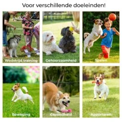AYOO Agility Voor De Hond - Honden Training - Honden Behendigheid Set - Hondenparcours - Training Huisdieren - Honden Agility Set - Slalom - Horde - Draagzak - Agility Set - Oranje - Wit - GRATIS Speeltouw -Huisdierbenodigdheden 1200x1200 2420