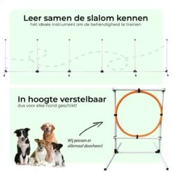 AYOO Agility Voor De Hond - Honden Training - Honden Behendigheid Set - Hondenparcours - Training Huisdieren - Honden Agility Set - Slalom - Horde - Draagzak - Agility Set - Oranje - Wit - GRATIS Speeltouw -Huisdierbenodigdheden 1200x1200 2421