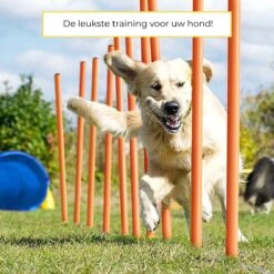 AYOO Agility Voor De Hond - Honden Agility Set - Honden Training - Honden Behendigheid Set - Honden Parcours - Training Huisdieren - Tunnel - Slalom - Horde - Draagzak - 21 Delig - GRATIS Speeltouw -Huisdierbenodigdheden 1200x1200 2426