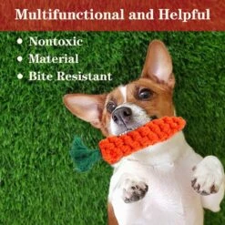 Nobleza Honden Speelgoed Set PLJ - 10 Stuks -Huisdierbenodigdheden 1200x1200 2462