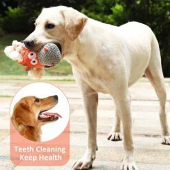 Merkloos Hondenknuffel - Interactief Piepspeelgoed Voor Honden - Teddy - Stoer Hondenkauwspeelgoed - Met Katoenen Materiaal En Gekreukt Papier - Hondenspeelgoed Voor Grote En Kleine Honden -Huisdierbenodigdheden 1200x1200 2487