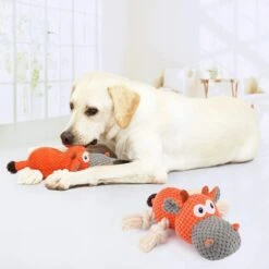 Merkloos Hondenknuffel - Interactief Piepspeelgoed Voor Honden - Teddy - Stoer Hondenkauwspeelgoed - Met Katoenen Materiaal En Gekreukt Papier - Hondenspeelgoed Voor Grote En Kleine Honden -Huisdierbenodigdheden 1200x1200 2488