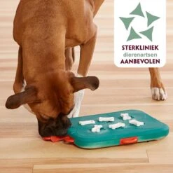 Nina Ottosson Dog Casino - Turquoise/Oranje - 31,5 X 26 X 4,5 Cm -Huisdierbenodigdheden 1200x1200 25