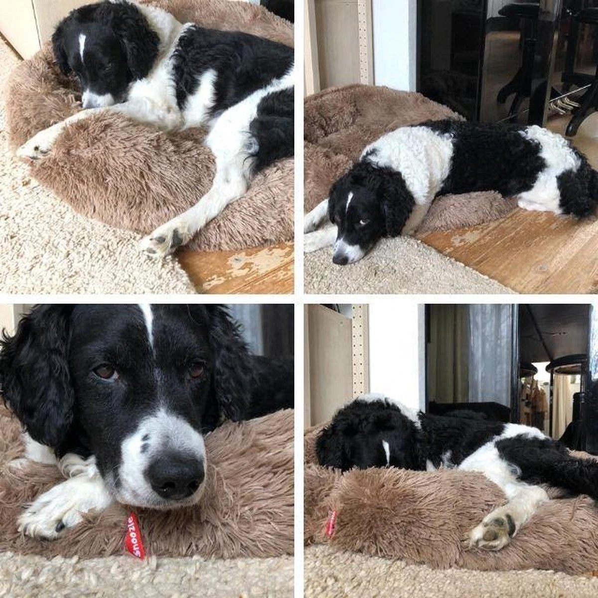 Snoozle Donut Hondenmand - Zacht En Luxe Hondenkussen - Wasbaar - Fluffy - Hondenmanden - 80cm - Creme Bruin 4 Snoozle Donut Hondenmand - Zacht En Luxe Hondenkussen - Wasbaar - Fluffy - Hondenmanden - 80cm - Creme Bruin - Afbeelding 4