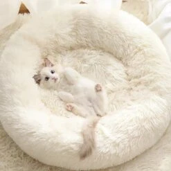 Bonbox Shop - Maat S - Donut Bed In Wit - Dierenmand Voor Katten, Kittens En Kleine Honden - Knus Mandje - Donutbed Diameter 40 Cm - Anti Anxiety -Huisdierbenodigdheden 1200x1200 2641