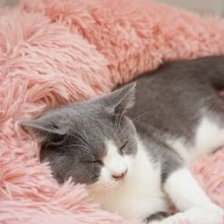 Topmast Fluffy Donut - Dierenmand - Donut Hondenmand - Roze - 50 Cm -Huisdierbenodigdheden 1200x1200 2647