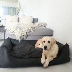 Maxxnobel Orthopedisch Hondenkussen - Lederlook/Teddy - M - 100 X 80 Cm - Zwart -Huisdierbenodigdheden 1200x1200 2674