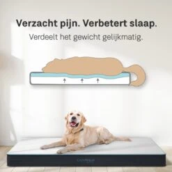 CozySense® - Orthopedisch Hondenkussen - Hondenkussen 100 X 70 Cm - Geschikt Als Benchkussen & Hondenbed - Hondenkussen Bank - Traagschuim - Waterdicht - Wasbare Hoes - Maat XL -Huisdierbenodigdheden 1200x1200 2676