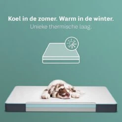 CozySense® - Orthopedisch Hondenkussen - Hondenkussen 100 X 70 Cm - Geschikt Als Benchkussen & Hondenbed - Hondenkussen Bank - Traagschuim - Waterdicht - Wasbare Hoes - Maat XL -Huisdierbenodigdheden 1200x1200 2677