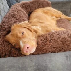 Origineel Hondendeken Voor Bank– Hondenkleed Fluffy – Pluche Hondenbed - Hondenmand Premium - Volledig Afritsbaar -Huisdierbenodigdheden 1200x1200 2691