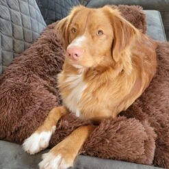 Origineel Hondendeken Voor Bank– Hondenkleed Fluffy – Pluche Hondenbed - Hondenmand Premium - Volledig Afritsbaar -Huisdierbenodigdheden 1200x1200 2693