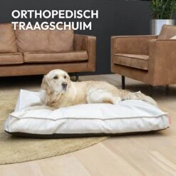 Snoozle Orthopedische Hondenmand - Zacht En Luxe Hondenkussen - Hondenbed - Wasbaar - Hondenmanden - 120 X 90 Cm - Groen -Huisdierbenodigdheden 1200x1200 2698