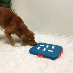 Nina Ottosson Dog Casino - Turquoise/Oranje - 31,5 X 26 X 4,5 Cm -Huisdierbenodigdheden 1200x1200 27