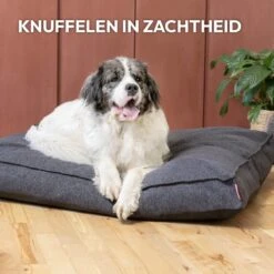 Snoozle Orthopedische Hondenmand - Zacht En Luxe Hondenkussen - Hondenbed - Wasbaar - Hondenmanden - 120 X 90 Cm - Groen -Huisdierbenodigdheden 1200x1200 2700