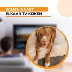 Origineel Hondendeken Voor Bank M – Hondenkleed Fluffy – Pluche Hondenbed - Hondenmand Premium - Volledig Afritsbaar - Beige -Huisdierbenodigdheden 1200x1200 2703