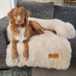 Origineel Hondendeken Voor Bank M – Hondenkleed Fluffy – Pluche Hondenbed - Hondenmand Premium - Volledig Afritsbaar - Beige -Huisdierbenodigdheden 1200x1200 2706