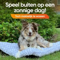 Happysnoots Hondenkussen 70 X 50cm - Hondenbed - Donut Dog Bed - Fluffy - Grijs - Wasbaar -Huisdierbenodigdheden 1200x1200 2748