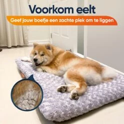Happysnoots Hondenkussen 70 X 50cm - Hondenbed - Donut Dog Bed - Fluffy - Grijs - Wasbaar -Huisdierbenodigdheden 1200x1200 2750
