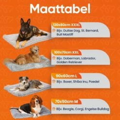 Happysnoots Hondenkussen 70 X 50cm - Hondenbed - Donut Dog Bed - Fluffy - Grijs - Wasbaar -Huisdierbenodigdheden 1200x1200 2759