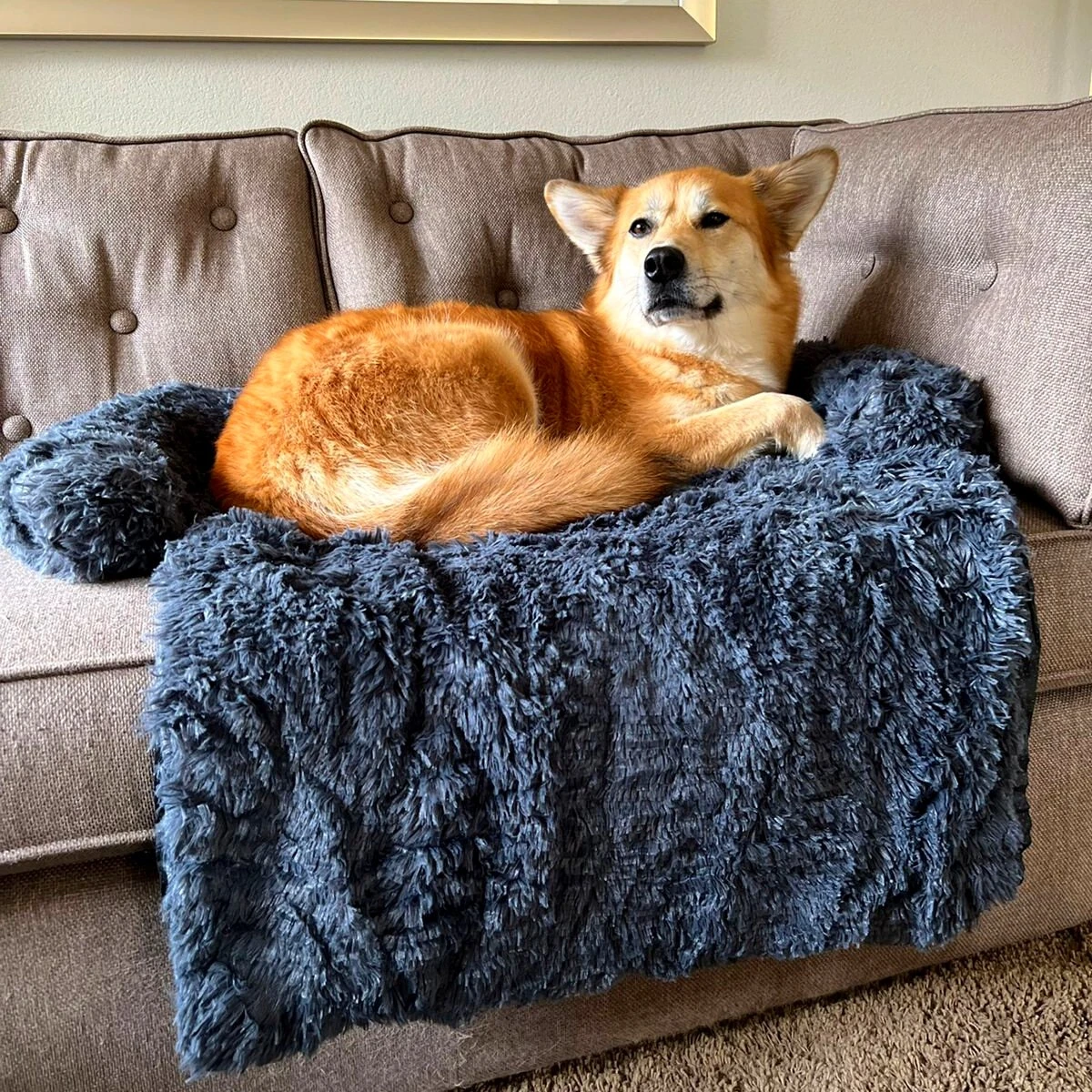 Premium Hondendeken Bank - Hondenkussens - Hondenmand Bank - Hondendeken Voor Op De Bank - Bankbeschermer - Donkergrijs 1 Premium Hondendeken Bank - Hondenkussens - Hondenmand Bank - Hondendeken Voor Op De Bank - Bankbeschermer - Donkergrijs