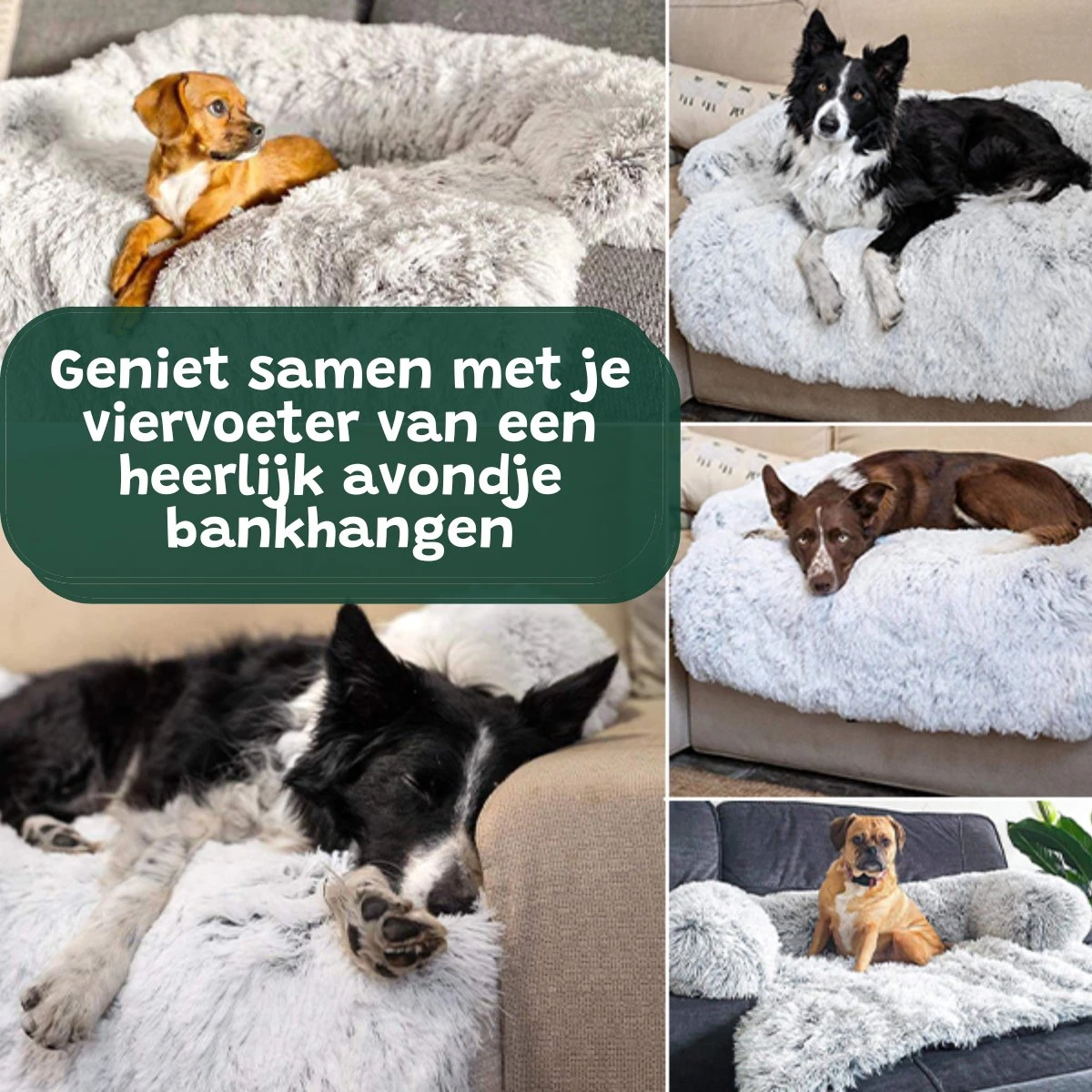 Premium Hondendeken Bank - Hondenkussens - Hondenmand Bank - Hondendeken Voor Op De Bank - Bankbeschermer - Donkergrijs 9 Premium Hondendeken Bank - Hondenkussens - Hondenmand Bank - Hondendeken Voor Op De Bank - Bankbeschermer - Donkergrijs - Afbeelding 9