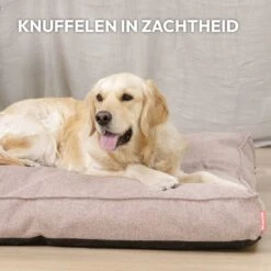 Snoozle Orthopedische Hondenmand - Zacht En Luxe Hondenkussen - Hondenbed - Wasbaar - Hondenmanden - 80 X 55 Cm - Desert Pink -Huisdierbenodigdheden 1200x1200 2772