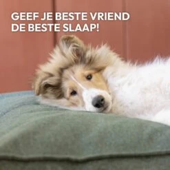 Snoozle Orthopedische Hondenmand - Zacht En Luxe Hondenkussen - Hondenbed - Wasbaar - Hondenmanden - 100 X 70 Cm - Groen -Huisdierbenodigdheden 1200x1200 2780