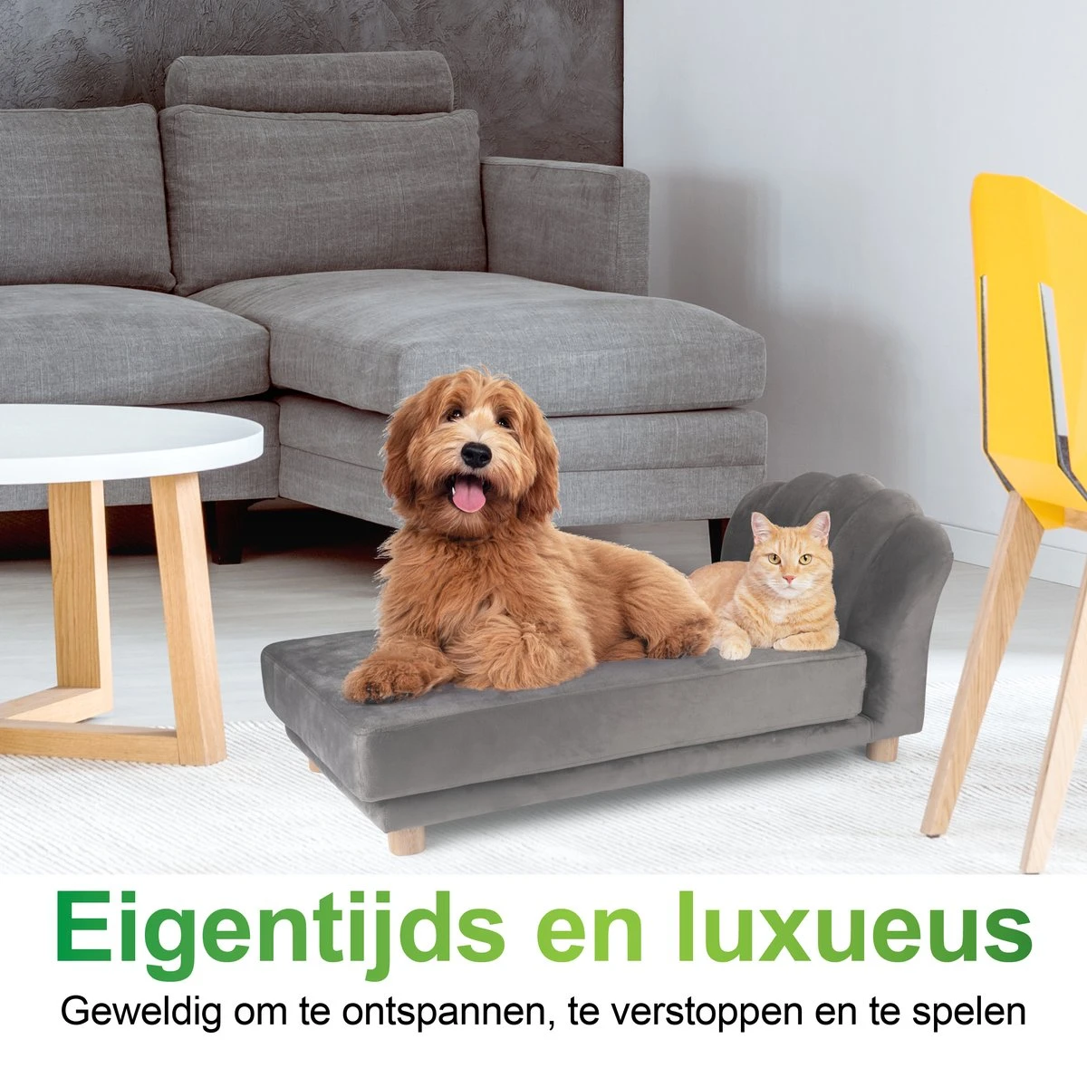 Maxxpro Katten- En Hondenbank - Grijs - Verhoogd Met Houten Poten - Fluweel Materiaal - 90 X 44 X 34 Cm - Huisdieren Tot 80 KG 4 Maxxpro Katten- En Hondenbank - Grijs - Verhoogd Met Houten Poten - Fluweel Materiaal - 90 X 44 X 34 Cm - Huisdieren Tot 80 KG - Afbeelding 4