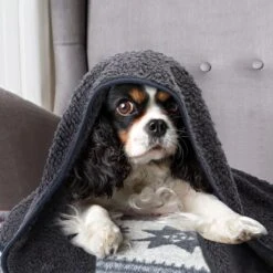 Nobleza 40UWK Hondendeken - Dierenmat - Benchkleed - 120x100cm - Grijs -Huisdierbenodigdheden 1200x1200 2826