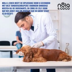 Nola & Coco® Tandsteen Verwijderaar Set Inclusief Bewaardoosje - Tandenkrabber - Set Van Twee - Hond - Kat - Tandenborstel - Tandplak Verwijderen - Tandenstoker - Honden Tanden Schoonmaken - Tandenhaakje - Gebitsreiniging -Huisdierbenodigdheden 1200x1200 2903