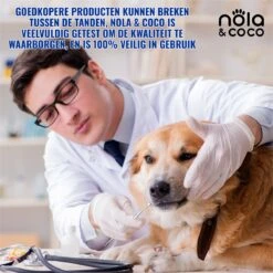 Nola & Coco® Tandsteen Verwijderaar Set Inclusief Bewaardoosje - Tandenkrabber - Set Van Twee - Hond - Kat - Tandenborstel - Tandplak Verwijderen - Tandenstoker - Honden Tanden Schoonmaken - Tandenhaakje - Gebitsreiniging -Huisdierbenodigdheden 1200x1200 2904