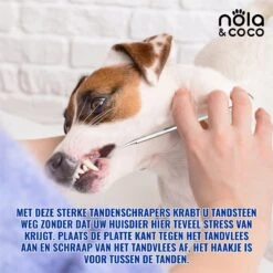 Nola & Coco® Tandsteen Verwijderaar Set Inclusief Bewaardoosje - Tandenkrabber - Set Van Twee - Hond - Kat - Tandenborstel - Tandplak Verwijderen - Tandenstoker - Honden Tanden Schoonmaken - Tandenhaakje - Gebitsreiniging -Huisdierbenodigdheden 1200x1200 2906