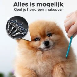 VoordeelShop 7-Delige Huisdier Knipset Met Etui - Trimmen Hond - Honden Schaar - Effileerschaar Hond - Huisdier Trimmer - Huisdier Knippen - Knipschaar Haar - Haar Schaar - Kapper - Kapperset - Scharenset 20 VoordeelShop 7-Delige Huisdier Knipset Met Etui - Trimmen Hond - Honden Schaar - Effileerschaar Hond - Huisdier Trimmer - Huisdier Knippen - Knipschaar Haar - Haar Schaar - Kapper - Kapperset - Scharenset -Huisdierbenodigdheden 1200x1200 291