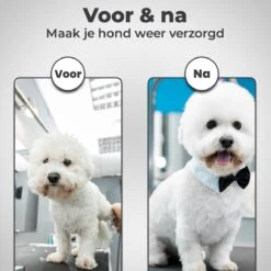 VoordeelShop 7-Delige Huisdier Knipset Met Etui - Trimmen Hond - Honden Schaar - Effileerschaar Hond - Huisdier Trimmer - Huisdier Knippen - Knipschaar Haar - Haar Schaar - Kapper - Kapperset - Scharenset 21 VoordeelShop 7-Delige Huisdier Knipset Met Etui - Trimmen Hond - Honden Schaar - Effileerschaar Hond - Huisdier Trimmer - Huisdier Knippen - Knipschaar Haar - Haar Schaar - Kapper - Kapperset - Scharenset -Huisdierbenodigdheden 1200x1200 292