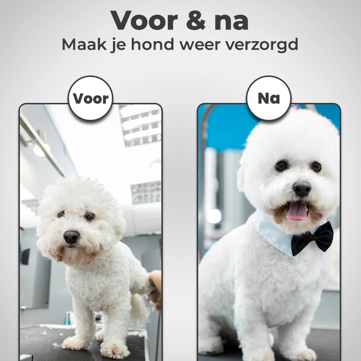 VoordeelShop 7-Delige Huisdier Knipset Met Etui - Trimmen Hond - Honden Schaar - Effileerschaar Hond - Huisdier Trimmer - Huisdier Knippen - Knipschaar Haar - Haar Schaar - Kapper - Kapperset - Scharenset 6 VoordeelShop 7-Delige Huisdier Knipset Met Etui - Trimmen Hond - Honden Schaar - Effileerschaar Hond - Huisdier Trimmer - Huisdier Knippen - Knipschaar Haar - Haar Schaar - Kapper - Kapperset - Scharenset - Afbeelding 6