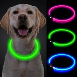 Led Halsband - Honden - Groene Halsband - 50 Cm - Lichtgevende Halsband Hond - Drie Standen - Spatwaterdicht - USB Oplaadbaar - Verstelbaar - Groen
